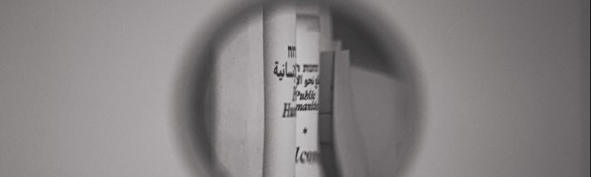 PUBLIC HUMANITIES
