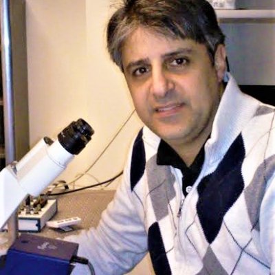 Hanna Salman