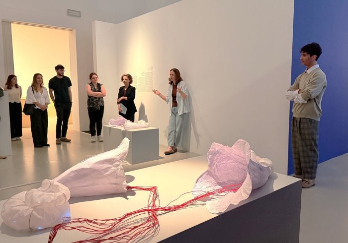 TAU Museum visit - Dana Golan